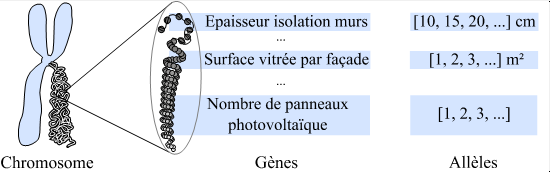 Gene00.png