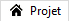 OngletProjet.png