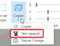 Copier dans le rapport.png