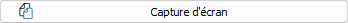 BoutonOutilCaptureEcran.png