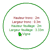 Arbre - arbre4.png